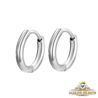 Titanium Classic Sleeper Earrings - Premium Jewelry from Dazzling Delights - Just $14.62! Shop now at Dazzling Delights