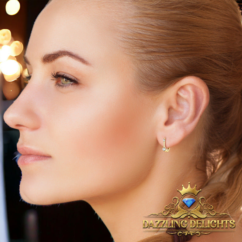 0.26ct Moissanite Hoop Earrings - Premium Jewelry from Dazzling Delights - Just $89.96! Shop now at Dazzling Delights