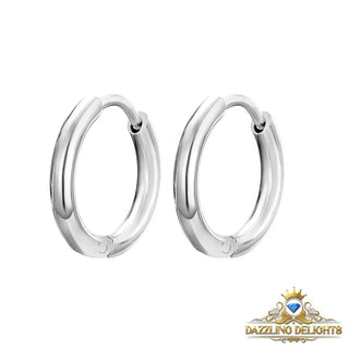 Titanium Classic Sleeper Earrings - Premium Jewelry from Dazzling Delights - Just $14.62! Shop now at Dazzling Delights