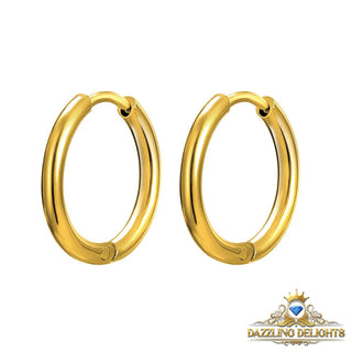 Titanium Classic Sleeper Earrings - Premium Jewelry from Dazzling Delights - Just $14.62! Shop now at Dazzling Delights