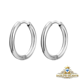 Titanium Classic Sleeper Earrings - Premium Jewelry from Dazzling Delights - Just $14.62! Shop now at Dazzling Delights