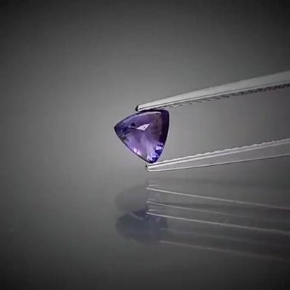 0.60ct Trillion Cut Purple Sapphire - Premium Jewelry from Dazzling Delights - Just $76.95! Shop now at Dazzling Delights