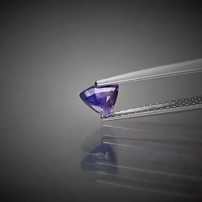 0.60ct Trillion Cut Purple Sapphire - Premium Jewelry from Dazzling Delights - Just $76.95! Shop now at Dazzling Delights